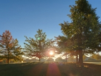 73499PeCrLe - Chester and I, beside Clayt French Park   Each New Day A Miracle  [  Understanding the Bible   |   Poetry   |   Story  ]- by Pete Rhebergen